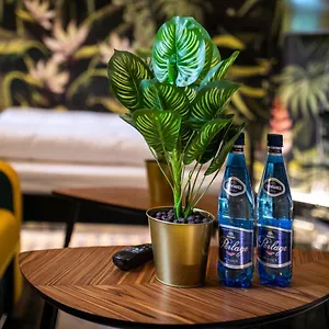 Jungle Podwale Apartament Wrocław